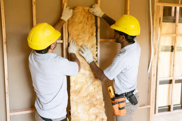 Best Radiant Barrier Insulation  in Coronita, CA